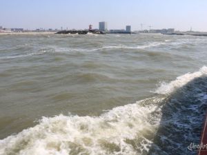 UA230513 Dagtocht Zeevissen ZEEVISSEN 10.jpg